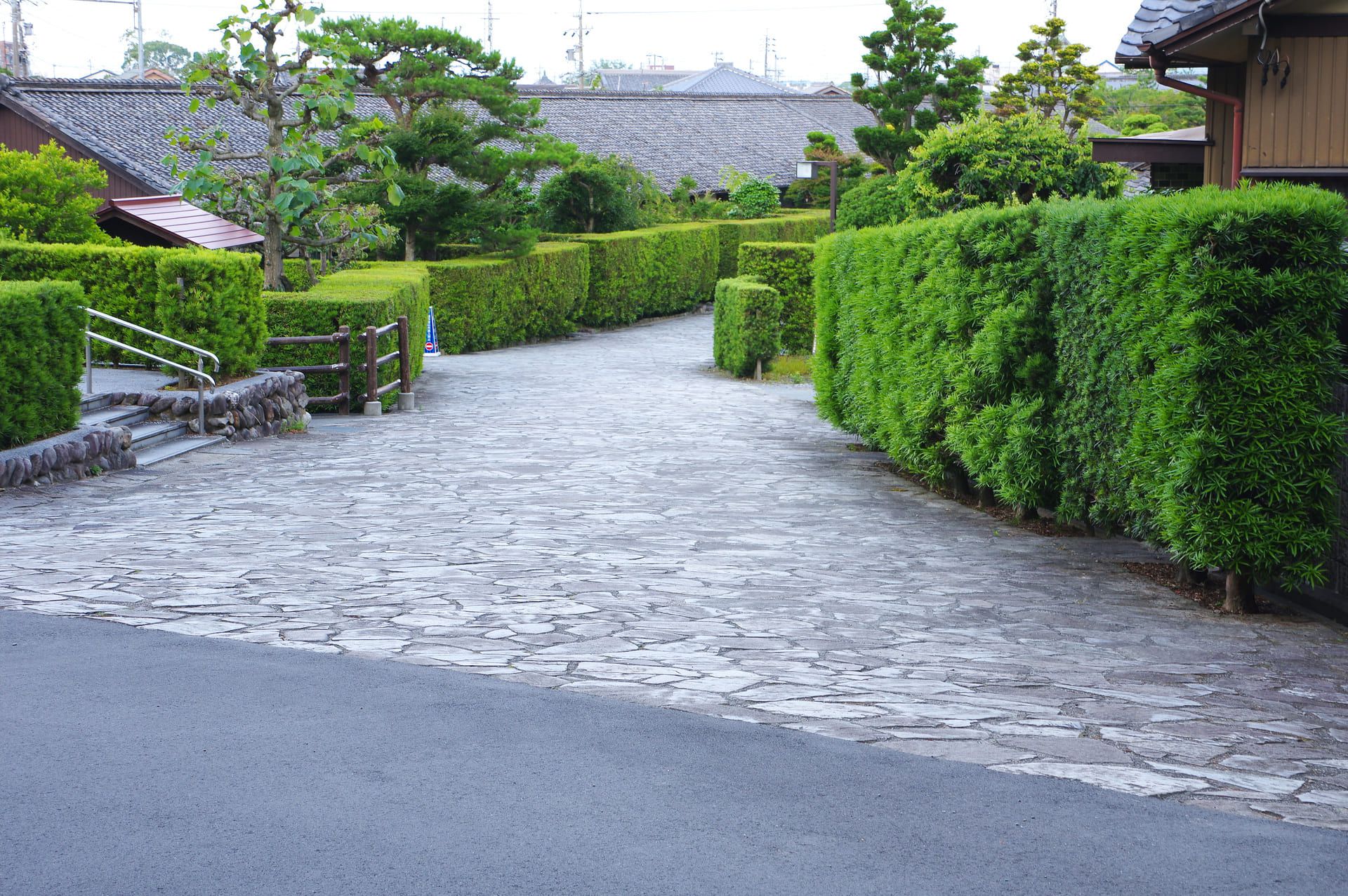 生垣の販売 | 植木の販売なら谷川緑販