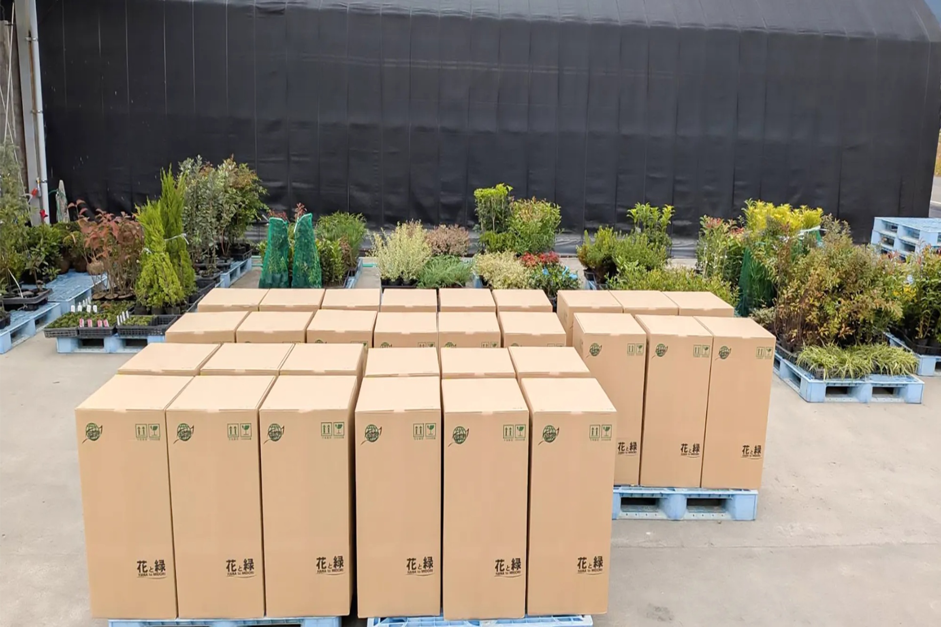 業者様向けの対応 | 植木の販売なら谷川緑販
