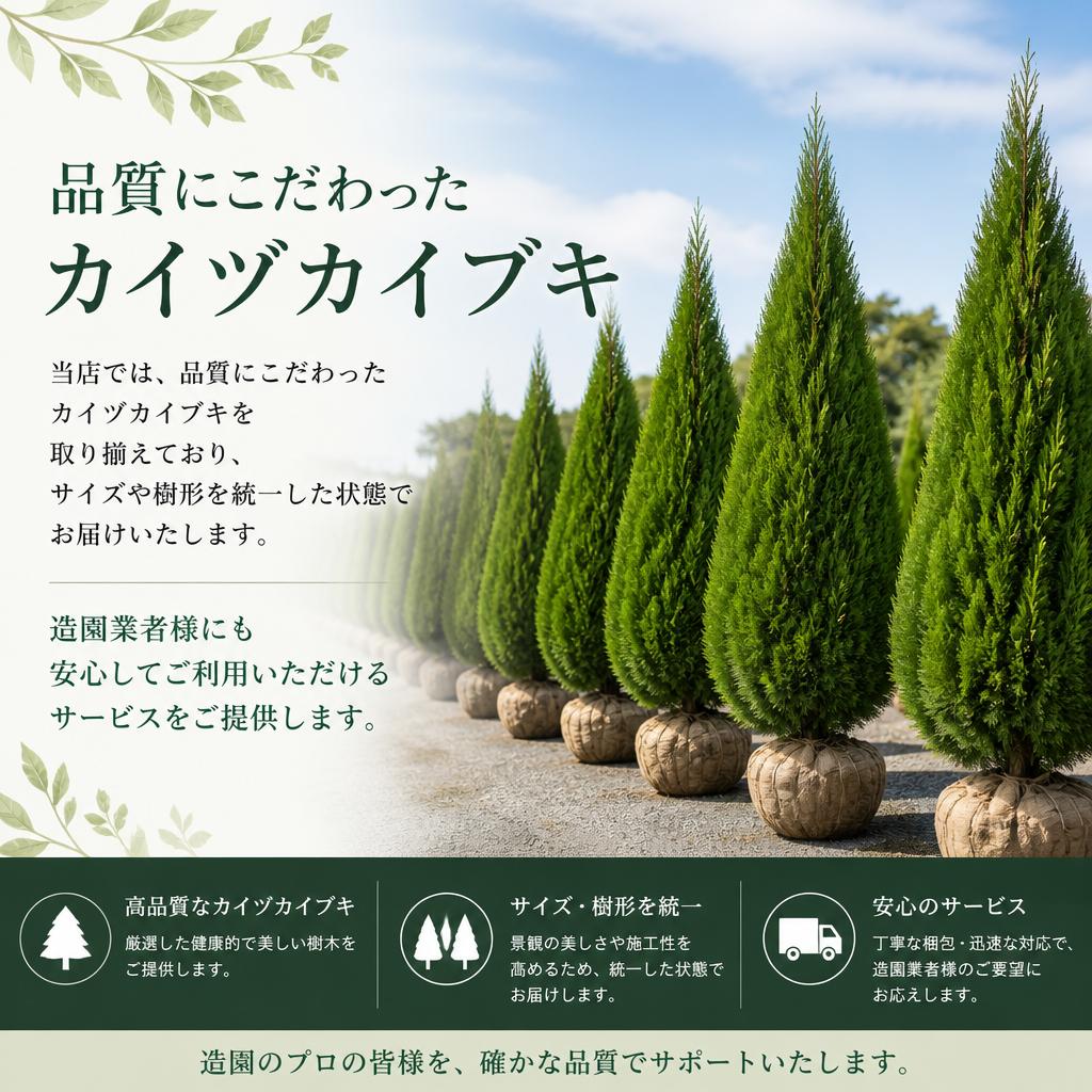 プロが推奨するカイヅカイブキの納品について