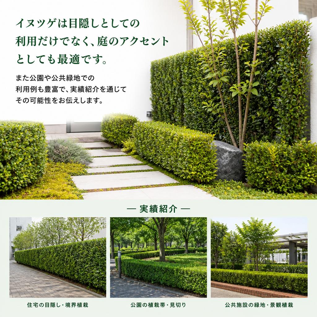 多様な用途と活用法