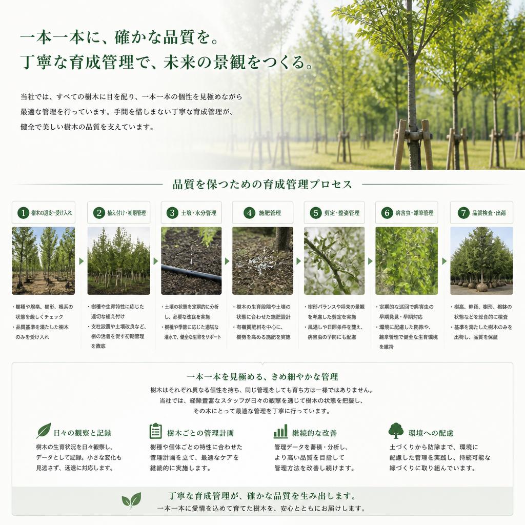 3. 当社の育成管理のこだわり