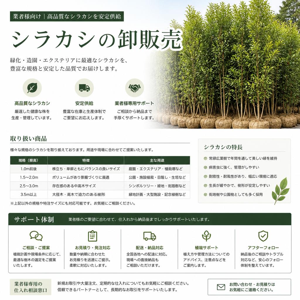 業者向け：サポート体制と卸販売