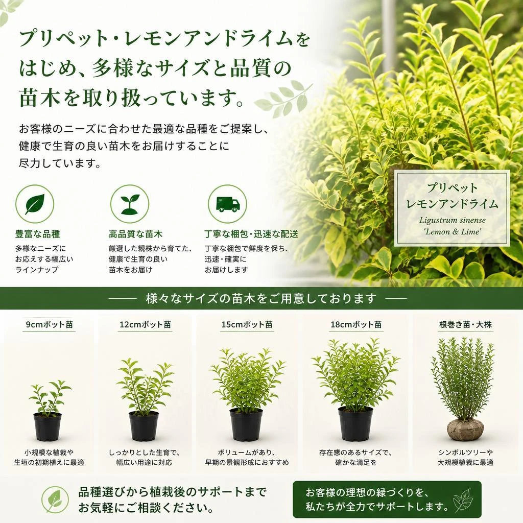 取り扱い商品と種類