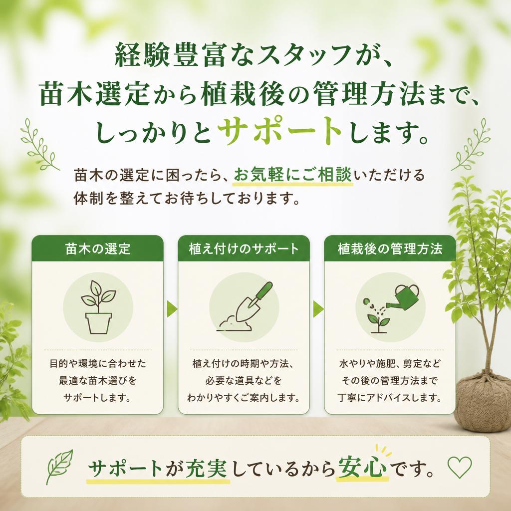 充実したサポート体制