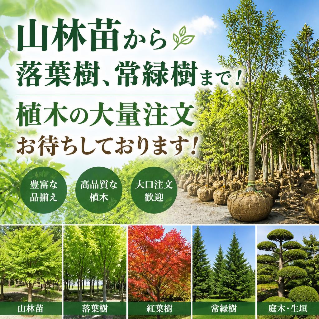 山林苗から落葉樹、常緑樹まで！植木の大量注文お待ちしております！