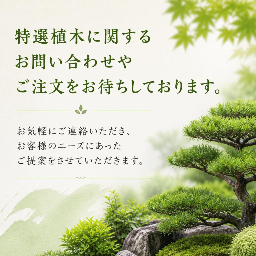 お問い合わせ・ご注文