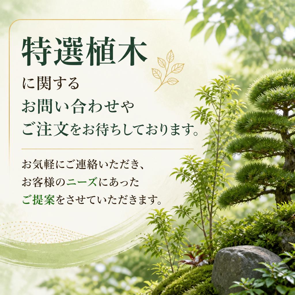 お問い合わせ・ご注文