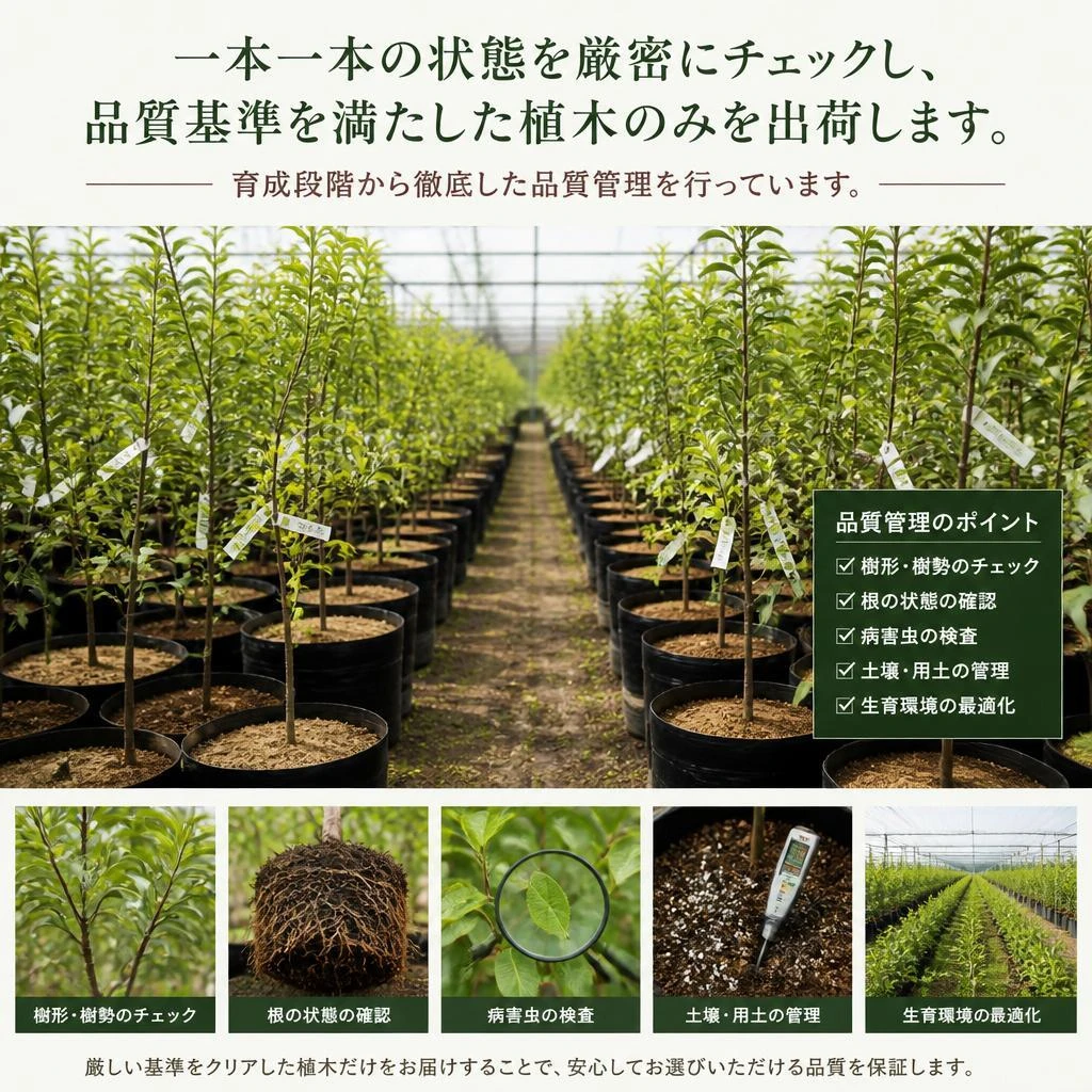 高い品質基準の管理