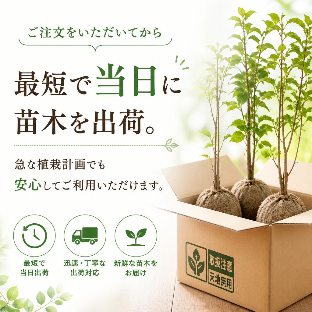 最短当日出荷の実現