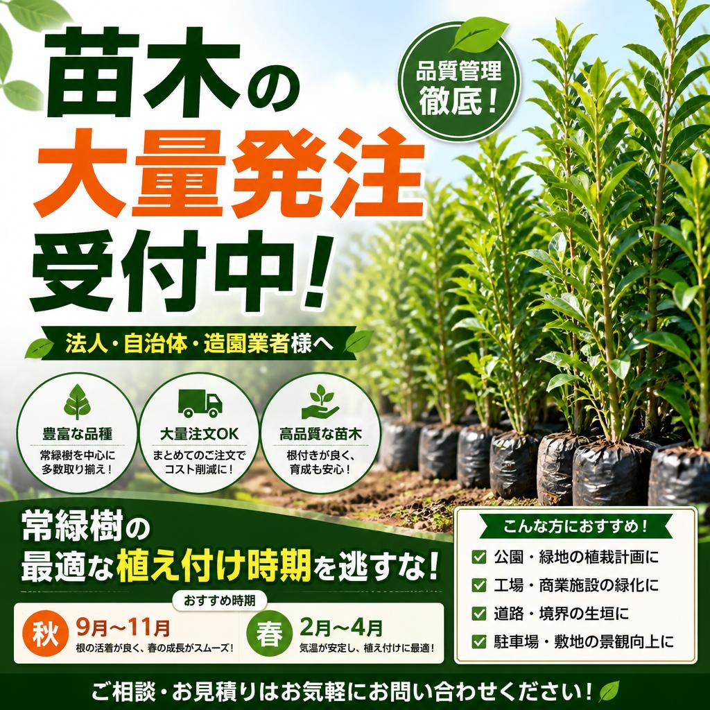 苗木の大量発注受付中！常緑樹の最適な植え付け時期を逃すな！