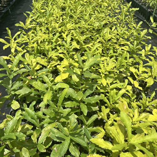 7. お問い合わせ・相談窓口