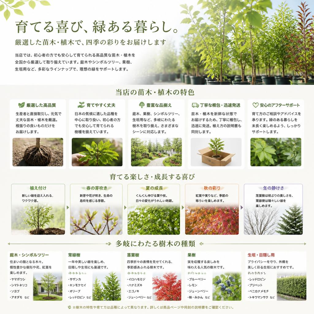 選び抜かれた苗木と植木