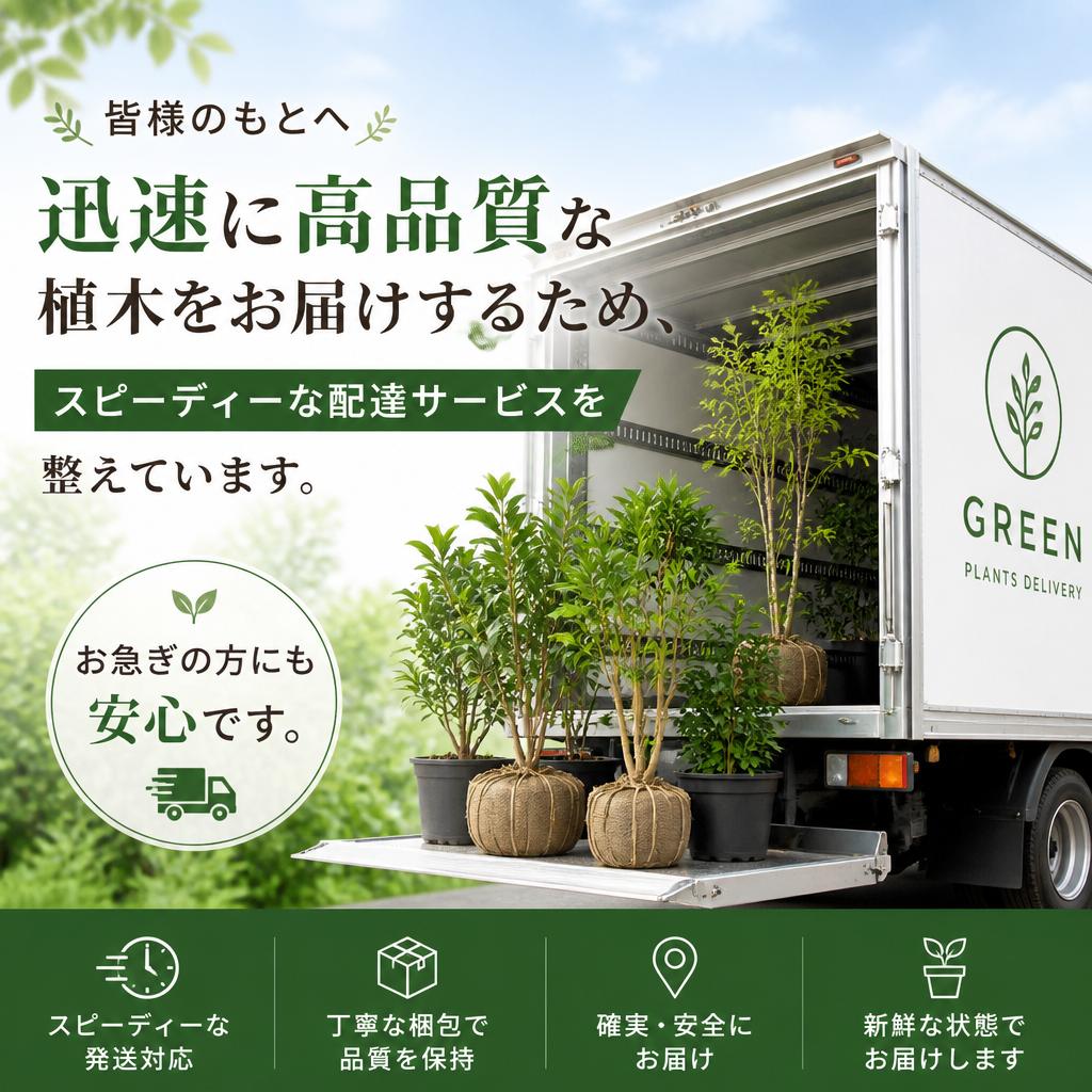 3. スピーディーな植木配達サービス