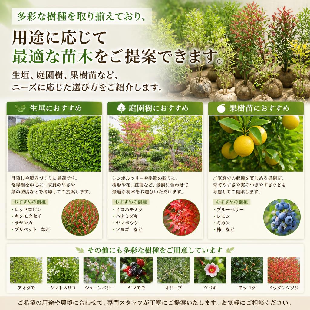 取扱い品種のご紹介