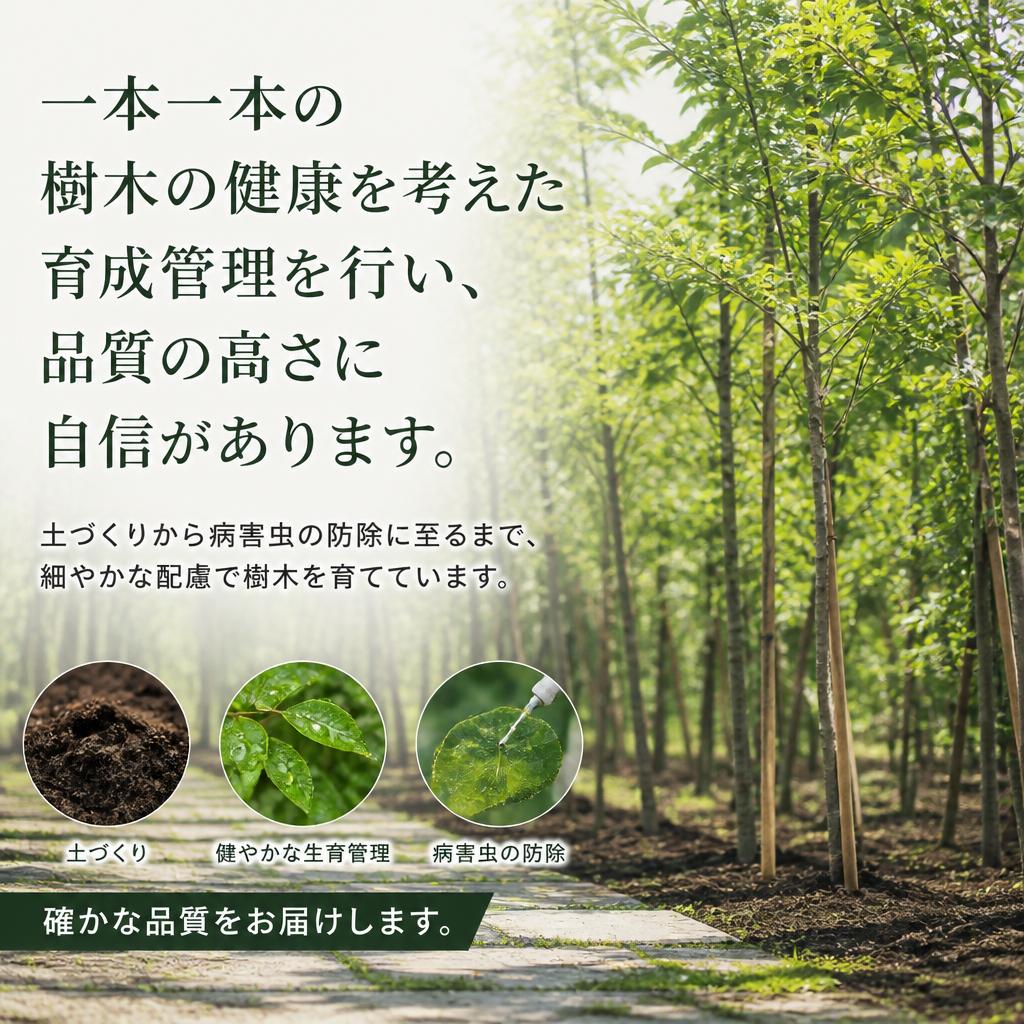 育成管理の徹底