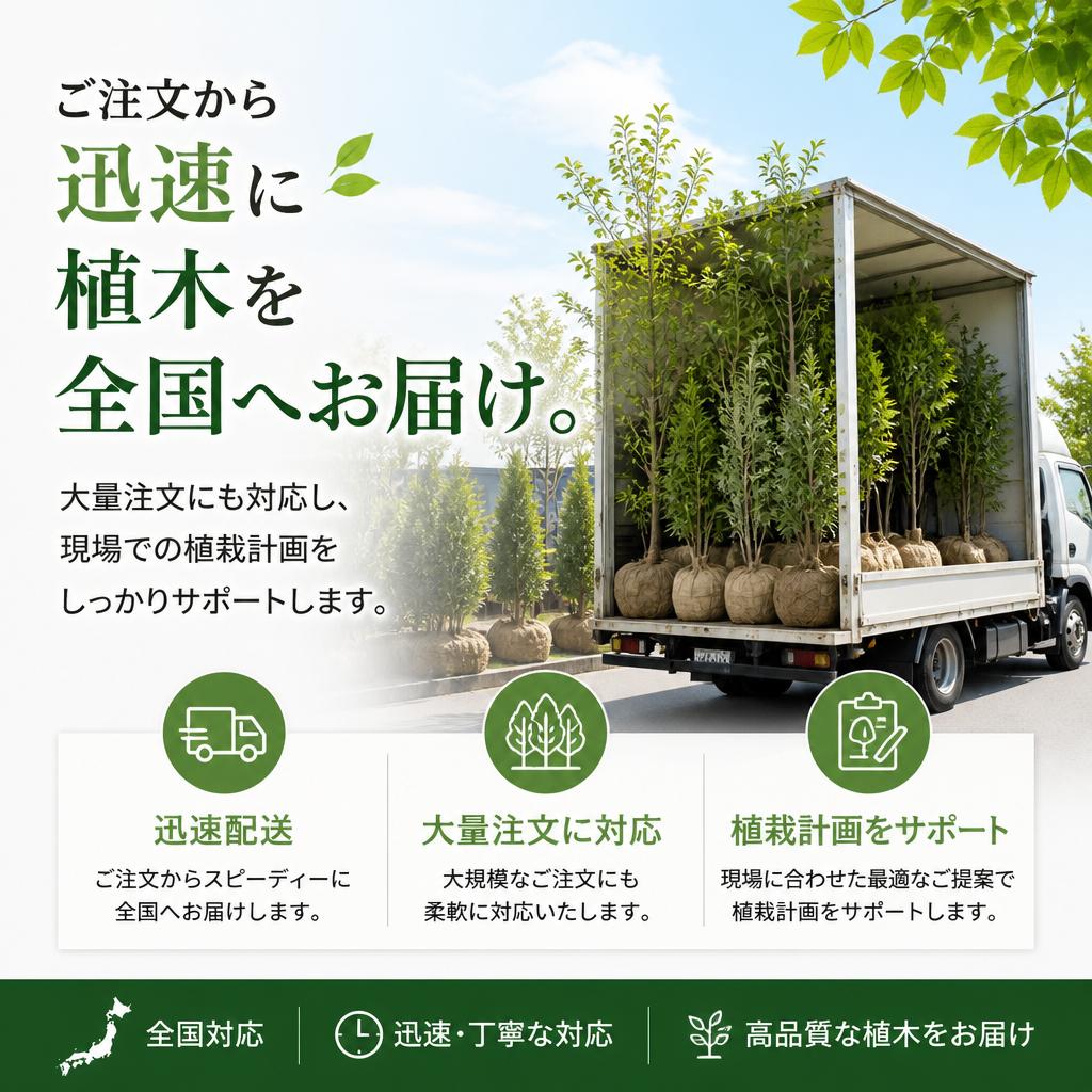 全国どこでもスピード配送