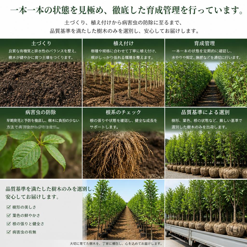 育成管理で品質を保つ取り組み