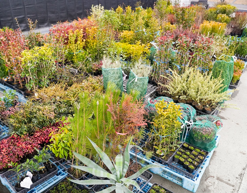 300種類以上の植木をご用意！