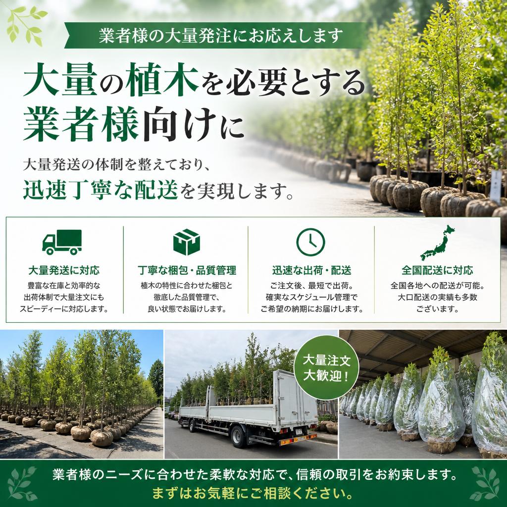 大量発送に対応