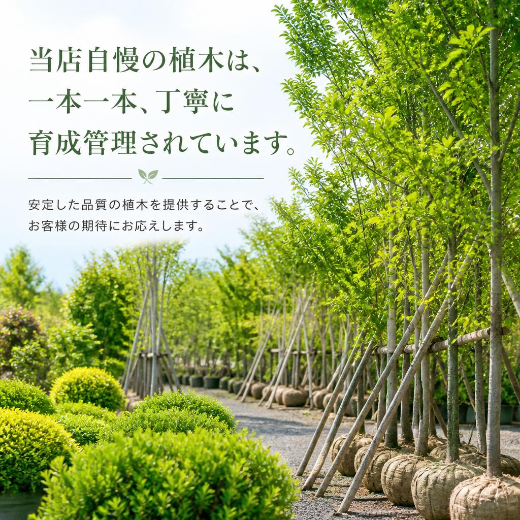 品質にこだわった植木