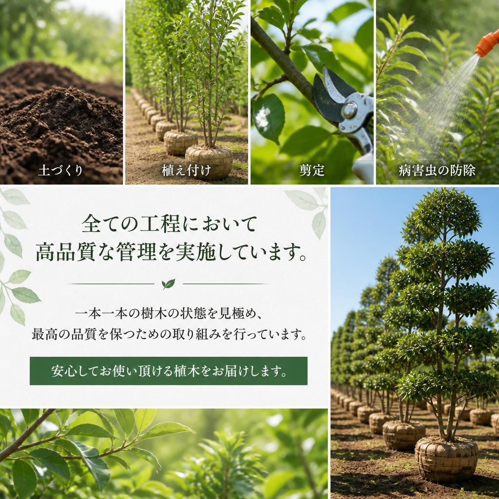 品質にこだわった育成管理